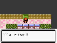 une photo d'Ã©cran de Pokemon Or sur Nintendo Game Boy Color